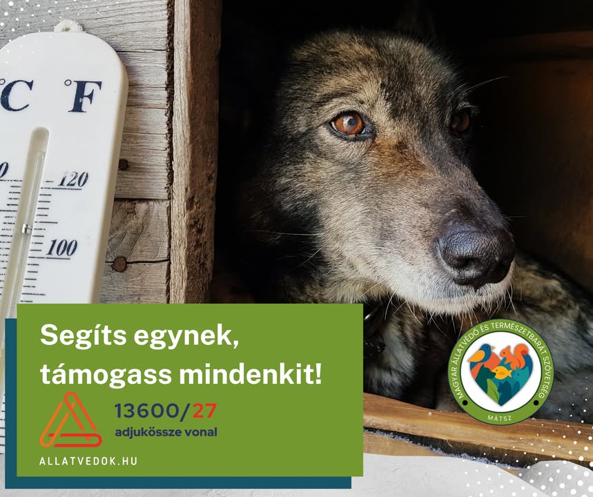 Magyar Állatvédő és Természetbarát Szövetség